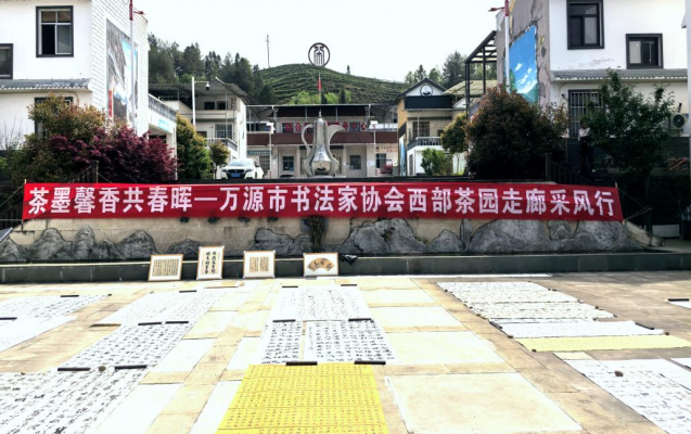 万源市书协开展“茶墨馨香共春晖”主题采风活动